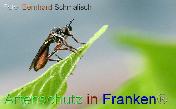 Copyright AiF / Bernhard Schmalisch Bild zum Eintrag (100303-160)