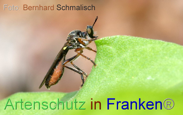 Copyright AiF / Bernhard Schmalisch Bild zum Eintrag (100304-160)