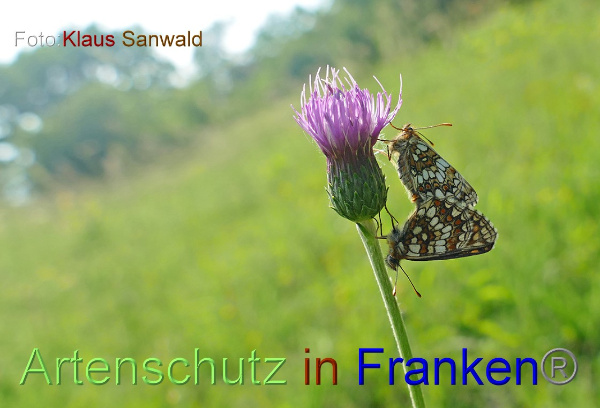 Copyright AiF - Klaus Sanwald Bild zum Eintrag (100402-160)
