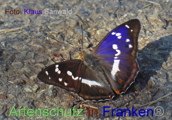 Copyright AiF - Klaus Sanwald Bild zum Eintrag (100445-160)