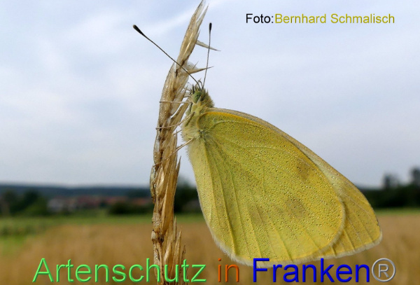 Copyright AiF / Bernhard Schmalisch Bild zum Eintrag (100454-160)