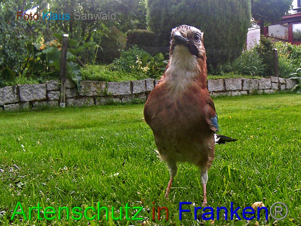 Copyright AiF - Klaus Sanwald Bild zum Eintrag (100458-160)