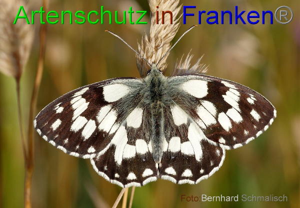 Copyright AiF / Bernhard Schmalisch Bild zum Eintrag (100462-160)