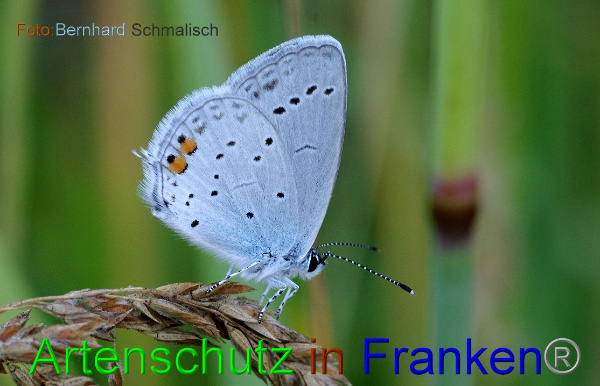 Copyright AiF / Bernhard Schmalisch Bild zum Eintrag (100513-160)