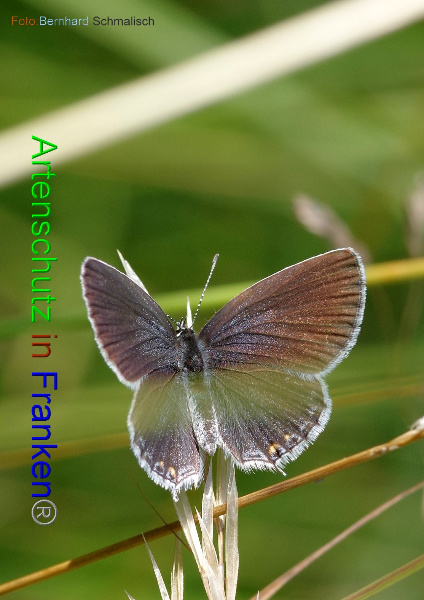 Copyright AiF / Bernhard Schmalisch Bild zum Eintrag (100514-160)