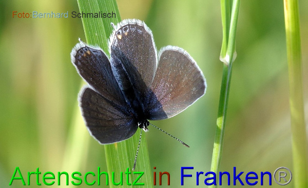 Copyright AiF / Bernhard Schmalisch Bild zum Eintrag (100515-160)