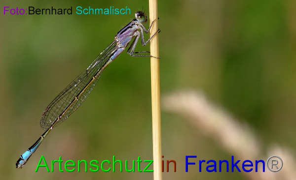 Copyright AiF / Bernhard Schmalisch Bild zum Eintrag (100541-160)