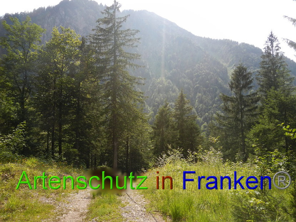 Bild zum Eintrag (100878-160)