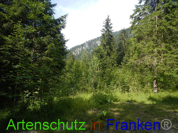 Bild zum Eintrag (100880-160)