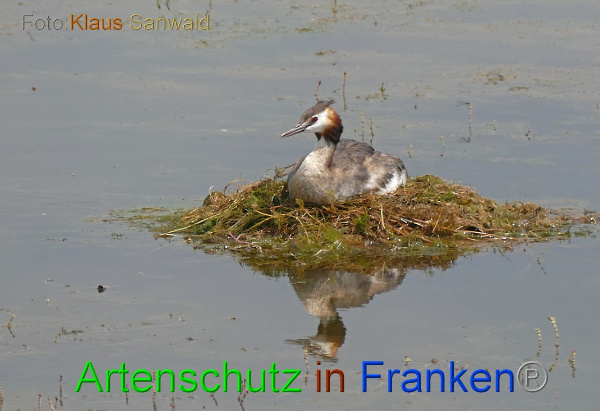 Copyright AiF - Klaus Sanwald Bild zum Eintrag (100938-160)