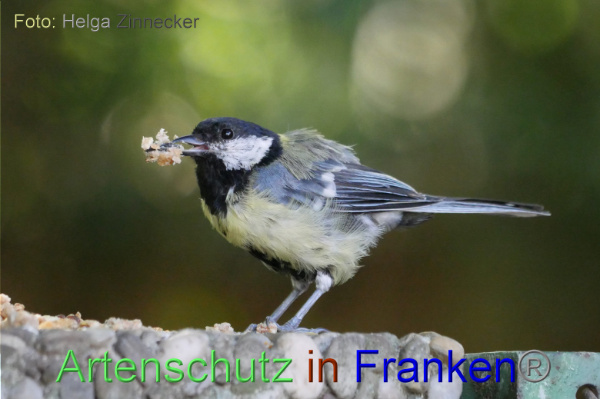 Copyright AiF / Helga Zinnecker Bild zum Eintrag (100967-160)