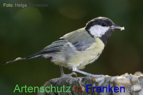 Copyright AiF / Helga Zinnecker Bild zum Eintrag (100968-160)