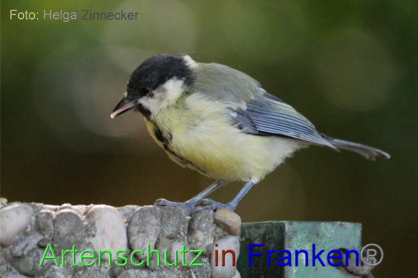 Copyright AiF / Helga Zinnecker Bild zum Eintrag (100969-160)