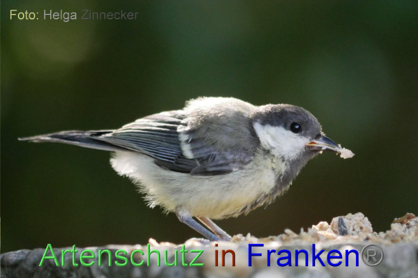 Copyright AiF / Helga Zinnecker Bild zum Eintrag (100970-160)