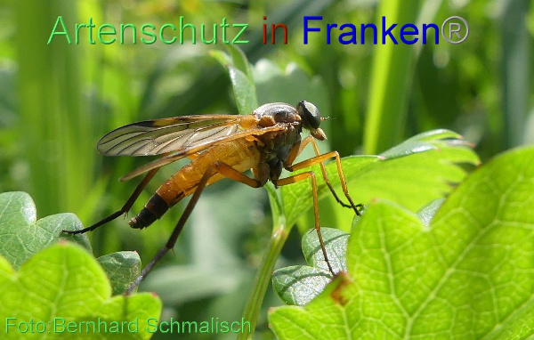 Copyright AiF / Bernhard Schmalisch Bild zum Eintrag (1010246-160)
