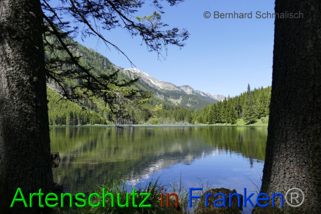 Bild zum Eintrag (1010348-160)