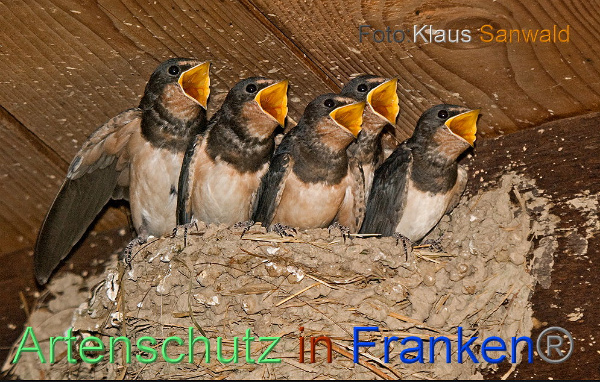 Copyright AiF / Klaus Sanwald Bild zum Eintrag (101514-160)