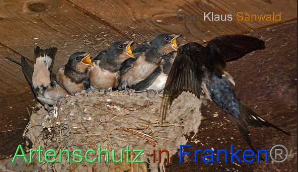 Copyright AiF / Klaus Sanwald Bild zum Eintrag (101515-160)