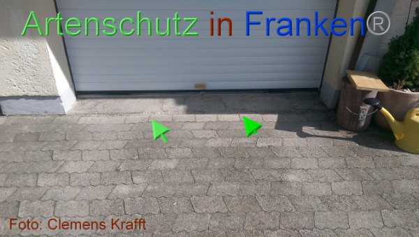 Copyright AiF / Clemens Krafft Bild zum Eintrag (101672-160)
