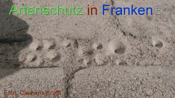 Copyright AiF / Clemens Krafft Bild zum Eintrag (101675-160)