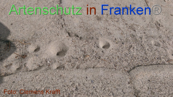 Copyright AiF / Clemens Krafft Bild zum Eintrag (101676-160)