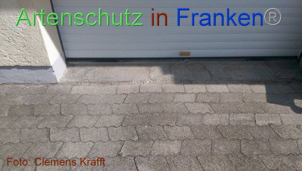 Copyright AiF / Clemens Krafft Bild zum Eintrag (101679-160)