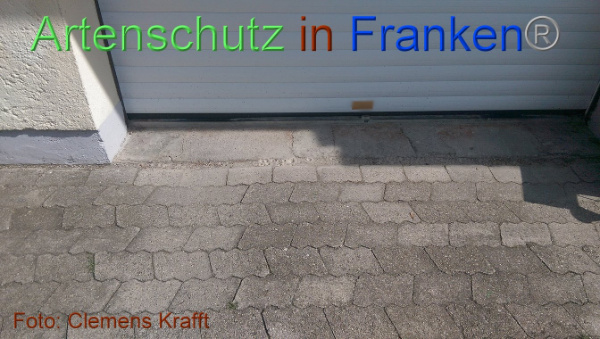 Copyright AiF / Clemens Krafft Bild zum Eintrag (101680-160)