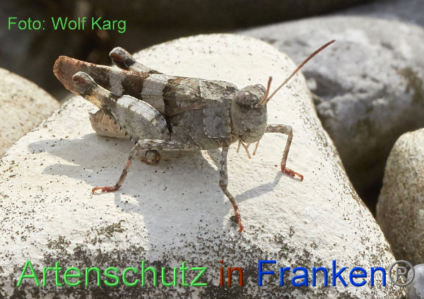 Copyright AiF / Wolf Karg Bild zum Eintrag (101709-160)