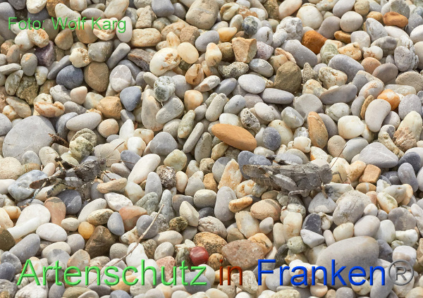 Copyright AiF / Wolf Karg Bild zum Eintrag (101710-160)
