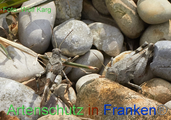 Copyright AiF / Wolf Karg Bild zum Eintrag (101711-160)