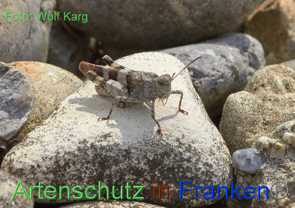 Copyright AiF / Wolf Karg Bild zum Eintrag (101712-160)