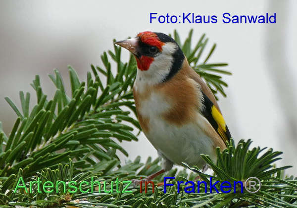 Copyright AiF / Klaus Sanwald Bild zum Eintrag (101863-160)