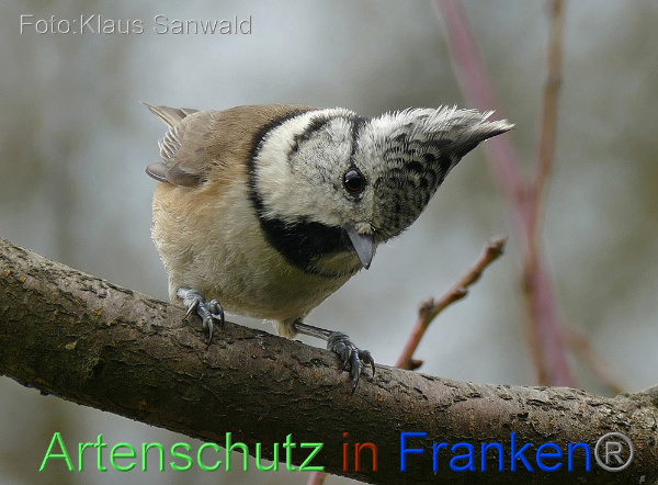 Copyright AiF / Klaus Sanwald Bild zum Eintrag (101957-160)