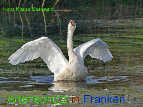 Copyright AiF / Klaus Sanwald Bild zum Eintrag (101988-160)