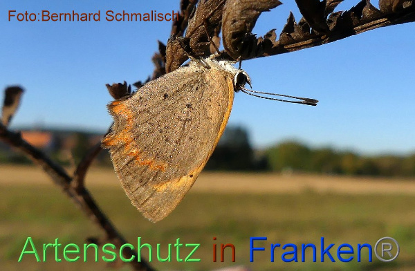 Copyright AiF / Bernhard Schmalisch Bild zum Eintrag (102013-160)