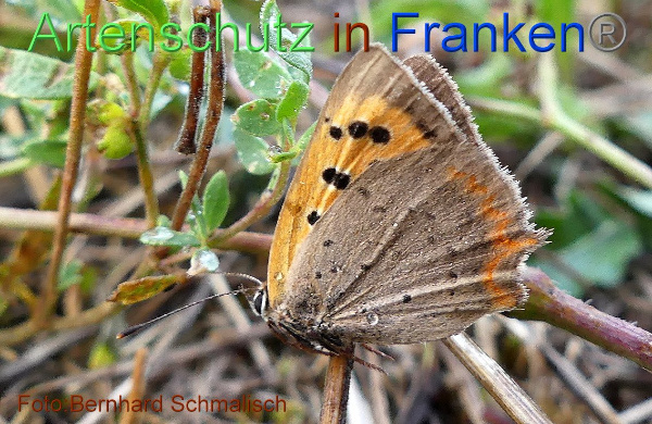 Copyright AiF / Bernhard Schmalisch Bild zum Eintrag (102014-160)