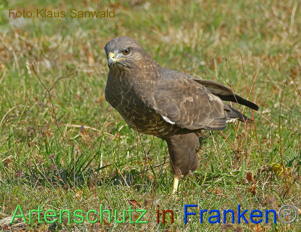 Copyright AiF / Klaus Sanwald Bild zum Eintrag (102118-160)