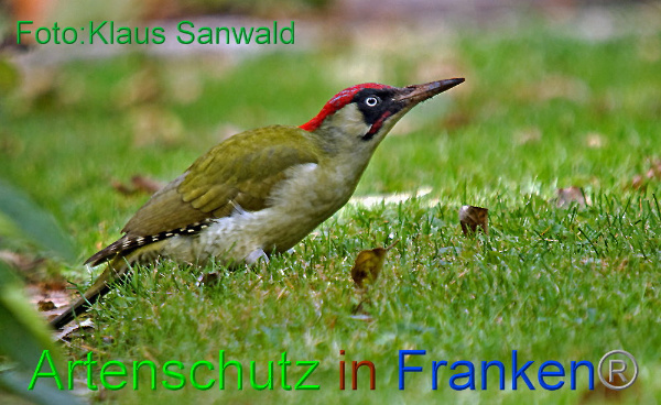 Copyright AiF / Klaus Sanwald Bild zum Eintrag (102148-160)