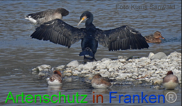 Copyright AiF / Klaus Sanwald Bild zum Eintrag (102237-160)