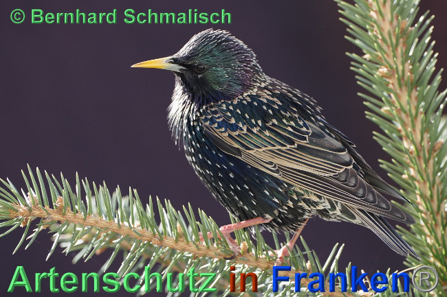 Bild zum Eintrag (1024263-160)