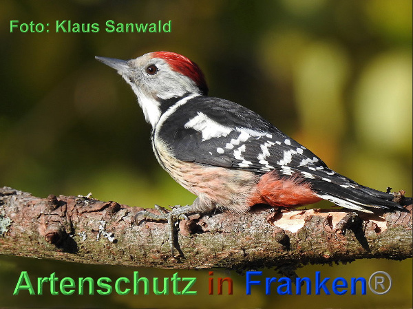 Copyright AiF / Klaus Sanwald Bild zum Eintrag (102462-160)