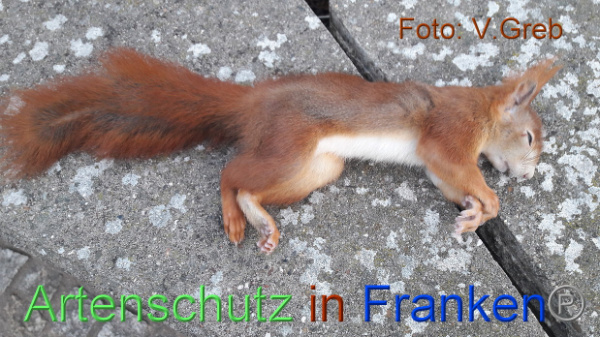 Copyright AiF / Volkmar Greb Bild zum Eintrag (102502-160)