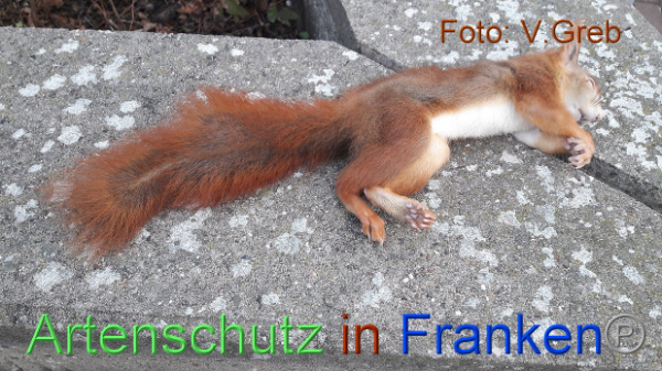 Copyright AiF / Volkmar Greb Bild zum Eintrag (102503-160)