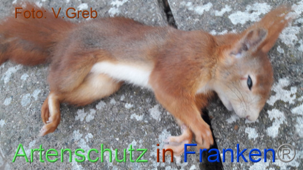 Copyright AiF / Volkmar Greb Bild zum Eintrag (102504-160)