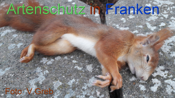 Copyright AiF / Volkmar Greb Bild zum Eintrag (102505-160)
