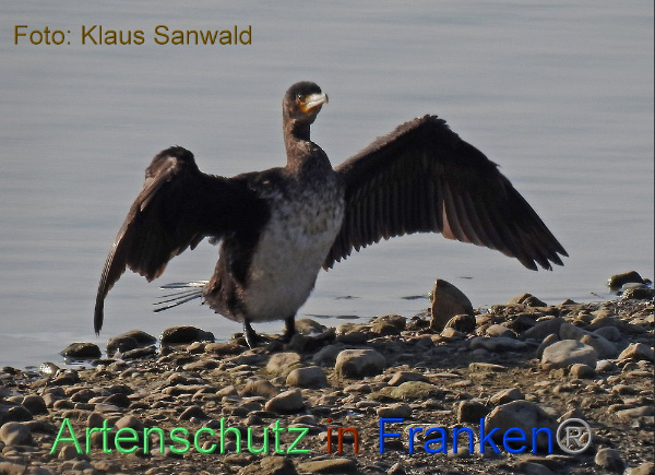 Copyright AiF / Klaus Sanwald Bild zum Eintrag (102578-160)