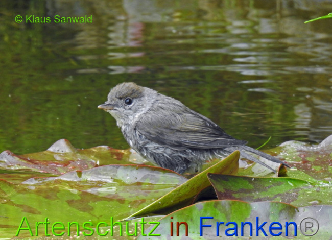 Bild zum Eintrag (1025993-160)