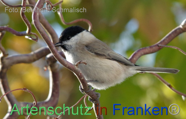 Copyright AiF / Bernhard Schmalisch Bild zum Eintrag (102620-160)