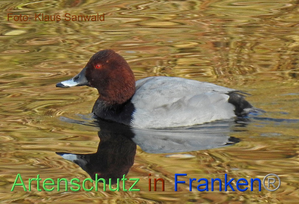 Copyright AiF / Klaus Sanwald Bild zum Eintrag (102653-160)