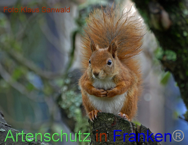 Copyright AiF / Klaus Sanwald Bild zum Eintrag (102745-160)
